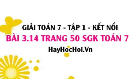 Giải bài 3.14 trang 50 Toán 7 Tập 1 SGK Kết nối tri thức